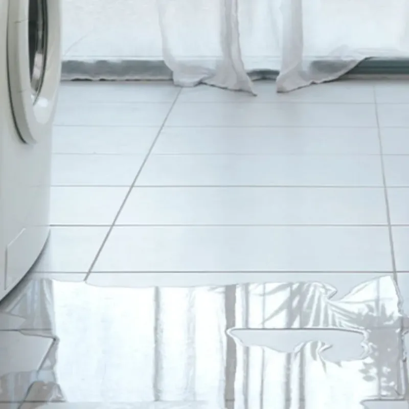 Appliance Leak Cleanup in New London, WI