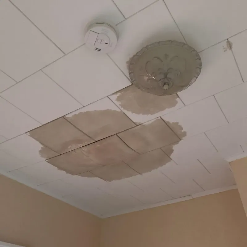 Ceiling Water Damage Repair in New London, WI