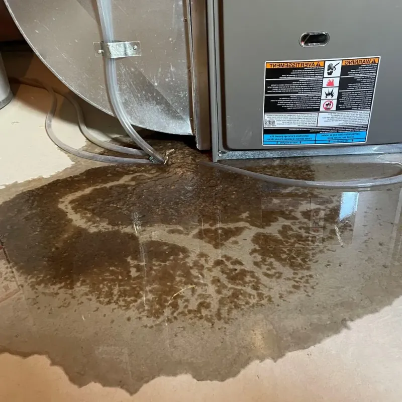 Pipe Burst and Leak Restoration in New London, WI