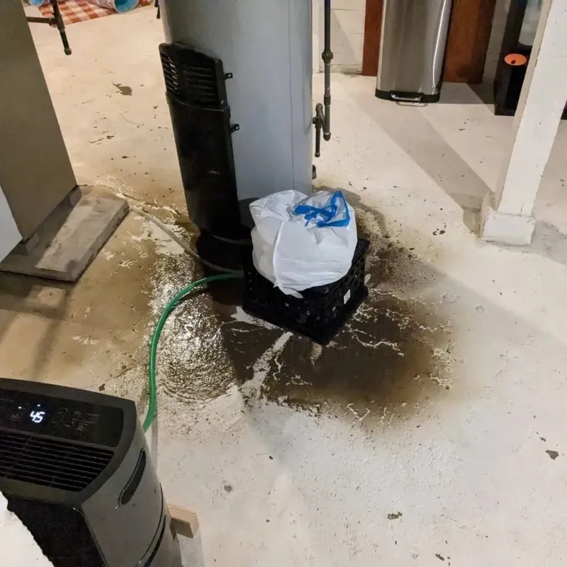 Sewage Backup Cleanup Service in New London, WI